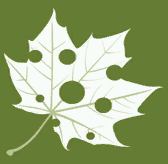 Emblem of the Parks Commission of Liberty City